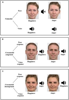 Preserved Crossmodal Integration of Emotional Signals in Binge Drinking